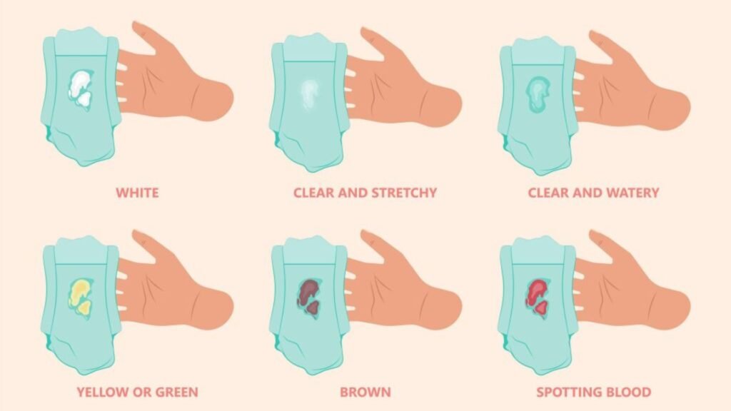 What to Eat During Pregnancy 6